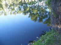 4 км русла реки Борзовки в Нижнем Новгороде очистят за 40 млн рублей  