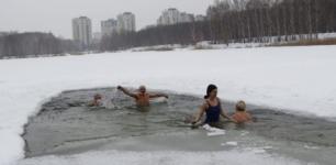 День моржа отметят в Нижнем Новгороде массовым заплывом 