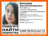 18-летнюю Эркелей Бисеневу ищут в Нижегородской области 