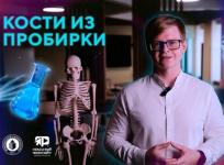 Нижегородские ученые работают над созданием костей в пробирках 