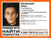 17-летний Марк Калюжин пропал в Нижнем Новгороде 