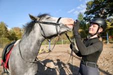 Шесть лошадей купили для зооцентра «Надежда» в Нижнем Новгороде
 