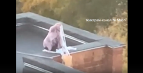 Нижегородка спасла кошку с крыши необычным способом  