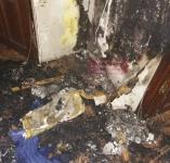 Нижегородские пожарные спасли из огня черепашек 