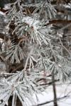 Аномальные морозы придут в Нижегородскую область в праздники 