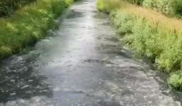 Нижегородцы пожаловались на жуткий запах от реки Борзовки 