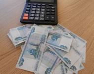 Более 29,5 тысяч рублей составили среднедушевые денежные доходы населения за 11 месяцев 2016 года 
