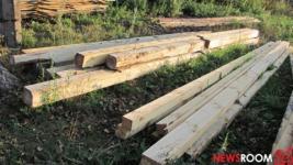 Нижегородские учреждения начнут реализацию древесины на крупнейшей бирже 