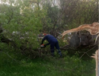 Электроснабжение 1061 дома восстановлено в Нижнем Новгороде после урагана  