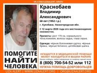 68-летнего Владимира Краснобаева продолжают искать в Кулебаках 