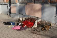Прокуратура занялась проблемой мусора в Шахунье 