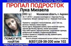 16-летнюю Михаелу Лука разыскивают в Нижнем Новгороде 