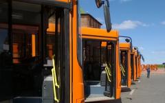 НПАТ выпустил максимум автобусов на маршруты с июня 