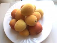 Партию абрикосов с вредителями могли ввезти в Нижегородскую область 