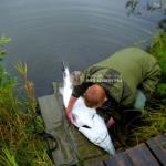 Гигантскую стерлядь выловил рыбак в Нижегородской области 