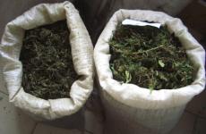 Более 12 кг марихуаны обнаружено в Нижегородской области 