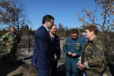 Площадь возгорания лесов в Первомайске достигла 400 га 