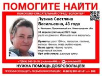 43-летняя Светлана Лузина пропала в Нижегородской области 