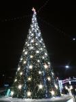 Нижний Новгород закупит новогодние елки на 558 тысяч рублей 