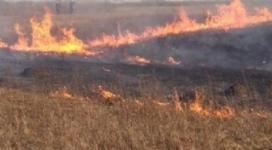 Возгорание сухой травы произошло у Мещерского озера в Нижнем Новгороде 
