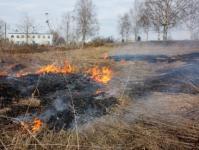 Спасатели из космоса зафиксировали первые палы мусора в Нижегородской области 