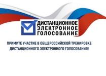 Тестирование электронного голосования пройдет в Нижегородской области с 12 по 14 мая  