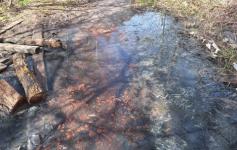 Проверку начал Росприроднадзор по факту разлива канализации в Богородске 