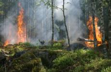 Высокая пожароопасность прогнозируется в Нижегородской области с 13 по 17 июня 