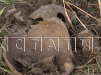 Нижегородские садоводы выкопали каску с человеческим черепом в СНТ на Бору 