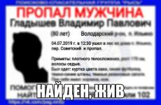 Пропавший в Нижегородской области Владимир Гладышев найден 