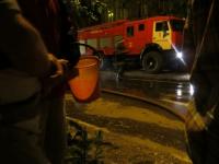 36-летняя женщина погибла на пожаре в Лыскове 